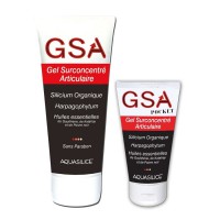 GSA : Gel surconcentré articulaire + HE - 200 ml - Aquasilice