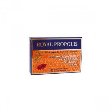 Royal propolis - Nutrition Concept - 20 ampoules