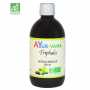 Jus de Triphala Bio - AYURvana - 500 ml