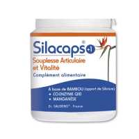 SILACAPS+1 Tonus général et vitalité - Labo Santé Silice