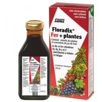 Floradix : Fer + Plantes - 250 ML 