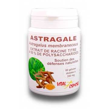 Astragale Chinoise - extrait de racine - 60 gélules - Vital osmose